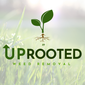 a graphic logo design for a weed removal service in Chandler Az