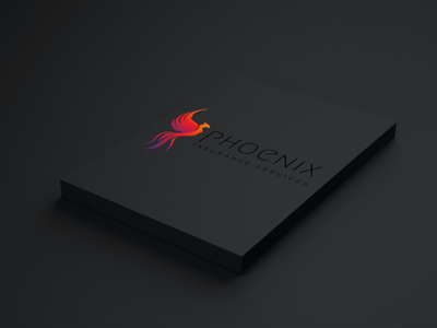 brand identity showcased on business folders including logo variations, colors, and font styles