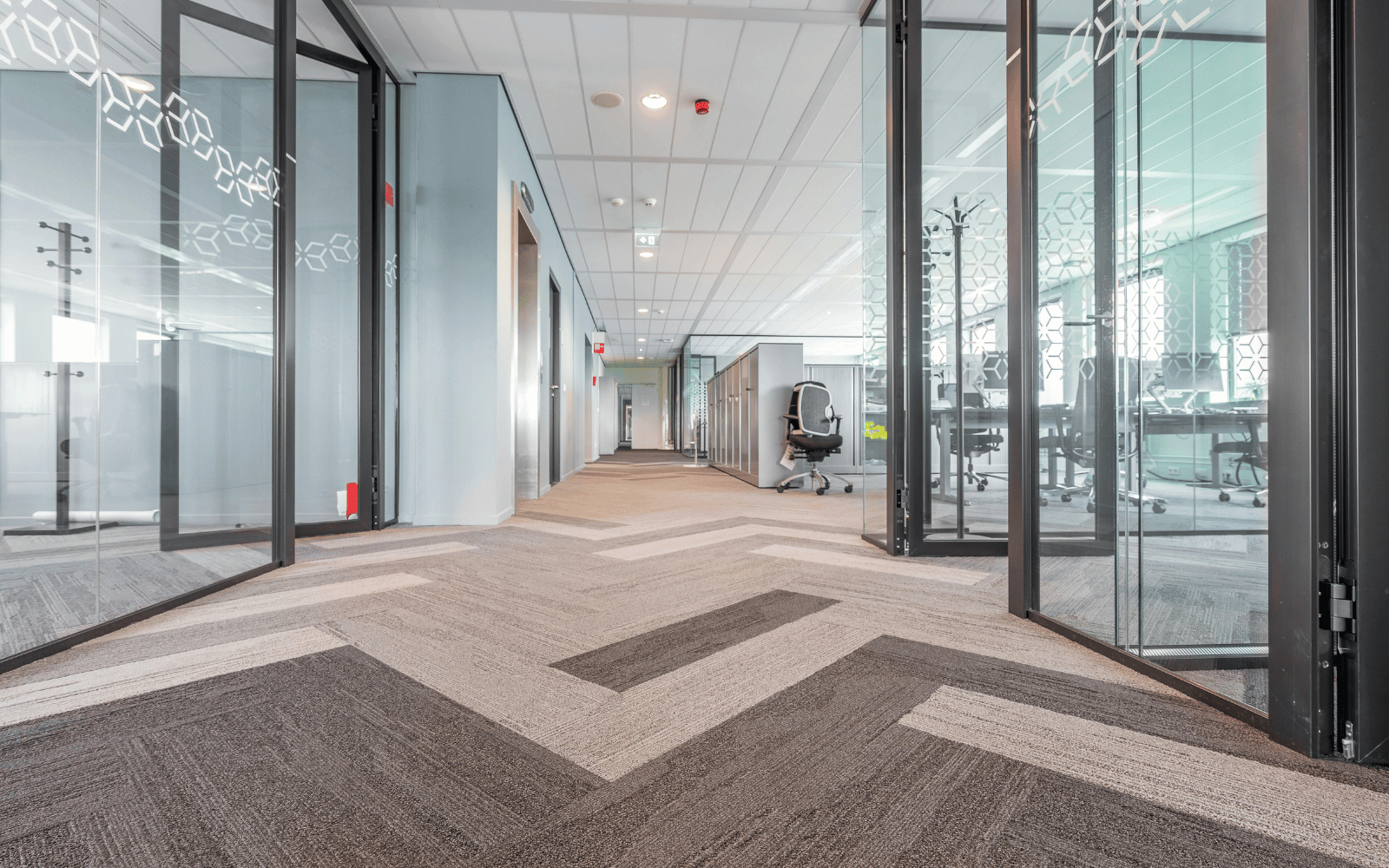 carpet 3
