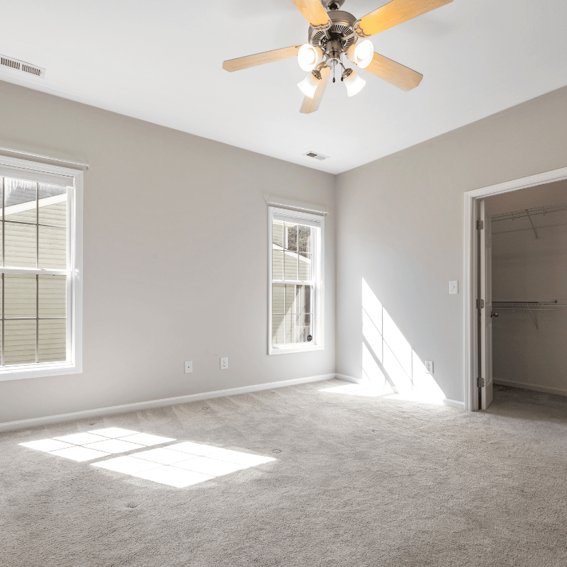 Carpet after a pet stain treatment