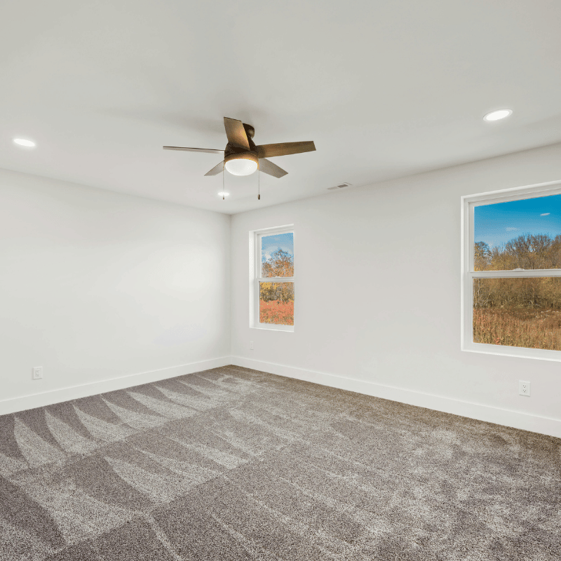 Area rug after cleaning