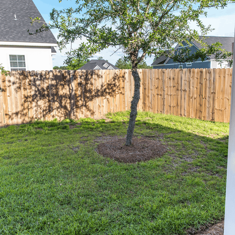 Damaged backyard fence before repair