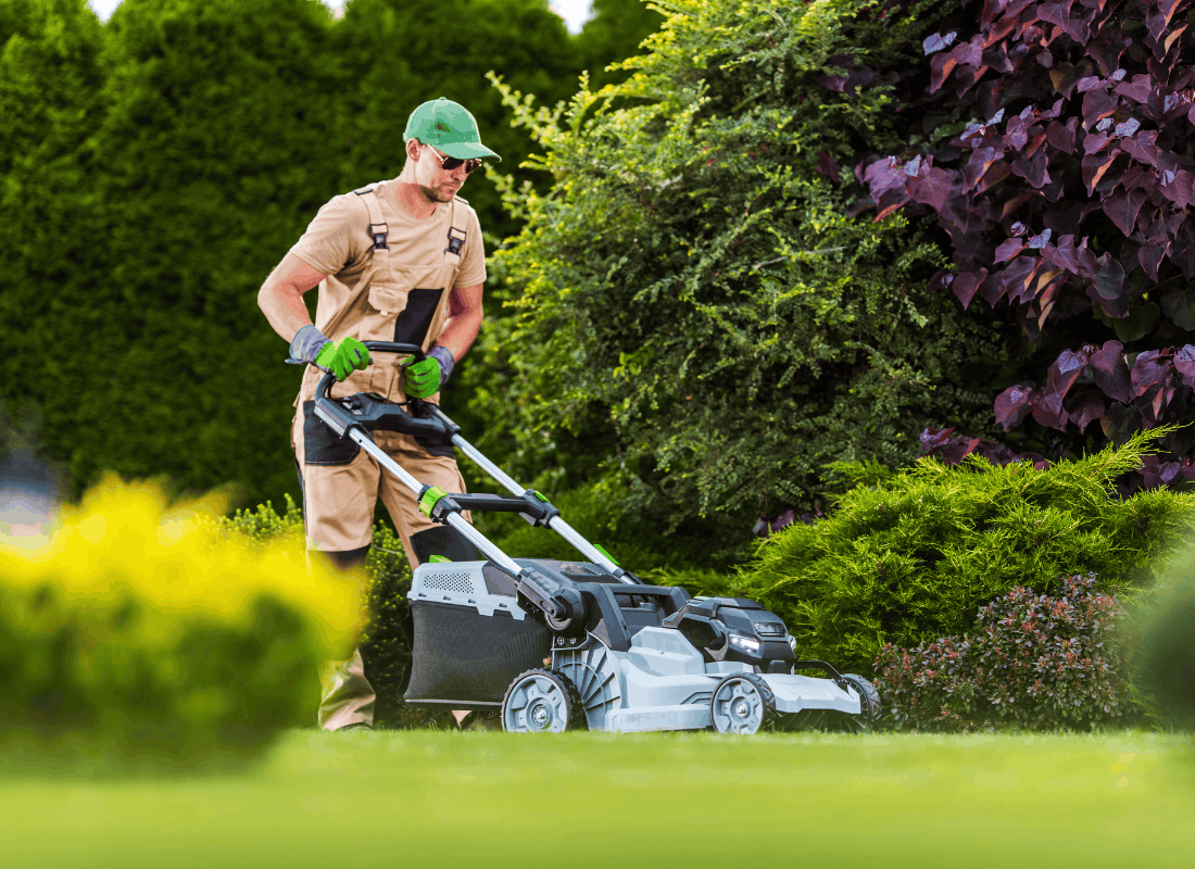 Grass being cut with a lawn mower