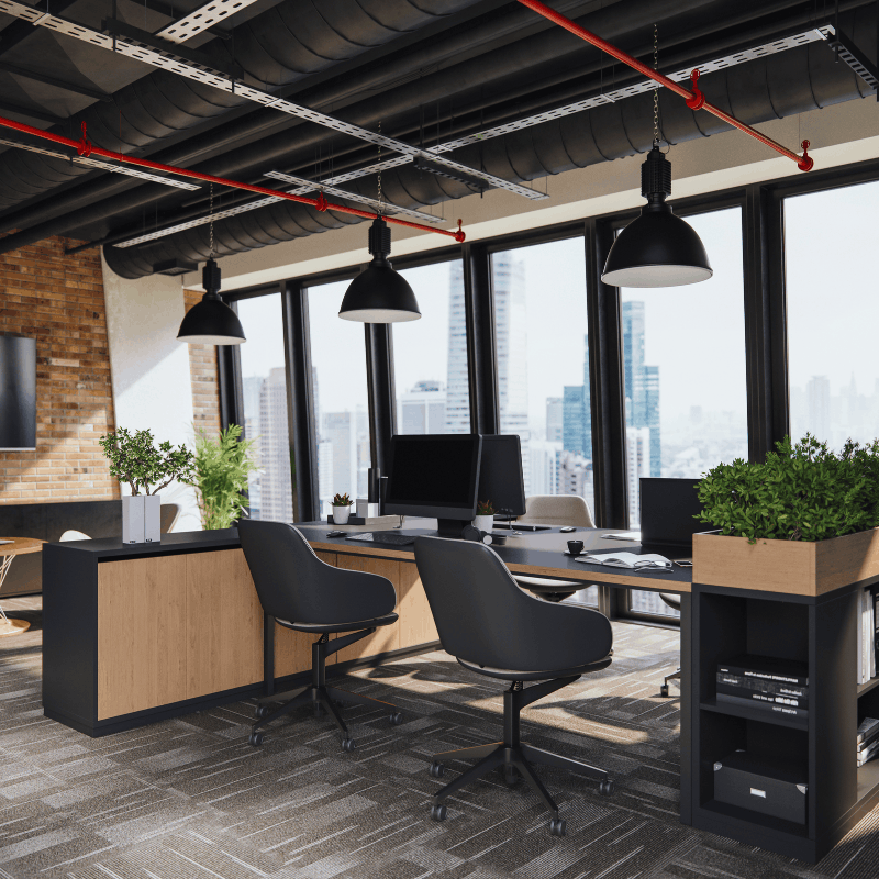 Naturally lit, warm-toned insurance office