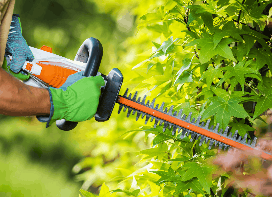 Landscaping professional trimming established greenery