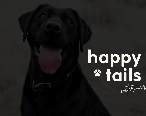 Logo design for Happy Tails Veterinarian, featuring a black lab, created by Sprout Marketing and Design in Chandler, AZ, as part of the brand design portfolio