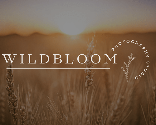 Logo design concept for WildBloom Photography, featuring a field with a sunset in the background, created by Sprout Marketing and Design in Chandler, AZ, representing a natural and artistic photography brand