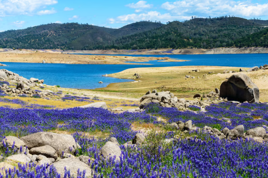 View of Granite Bay at Folsom Lake - Granite Bay web design